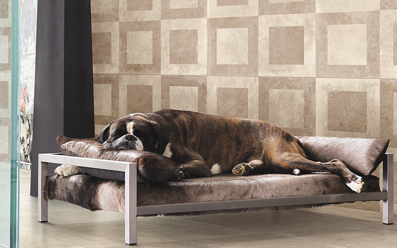 Wandfliesen kaufen in Bonn: Schmidt-Rudersdorf